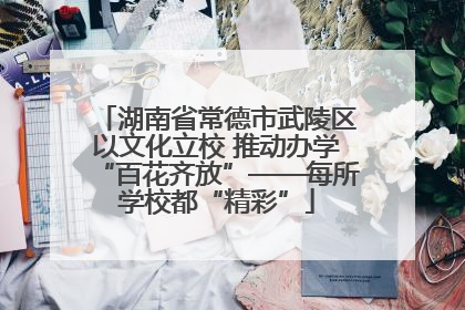 湖南省常德市武陵区以文化立校 推动办学“百花齐放”——每所学校都“精彩”