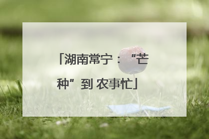 湖南常宁：“芒种”到 农事忙