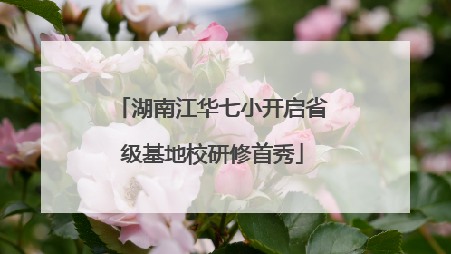 湖南江华七小开启省级基地校研修首秀