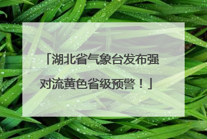 湖北省气象台发布强对流黄色省级预警！