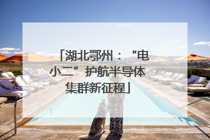 湖北鄂州：“电小二”护航半导体集群新征程