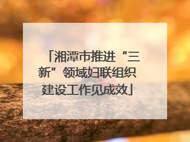 湘潭市推进“三新”领域妇联组织建设工作见成效