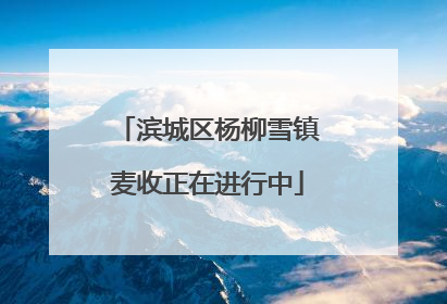 滨城区杨柳雪镇麦收正在进行中