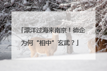 漂洋过海来南京！德企为何“相中”玄武？