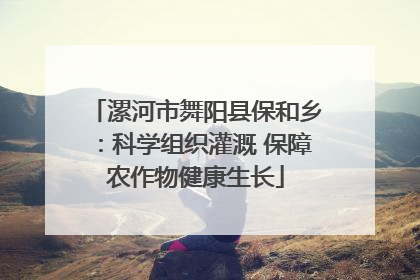漯河市舞阳县保和乡：科学组织灌溉 保障农作物健康生长