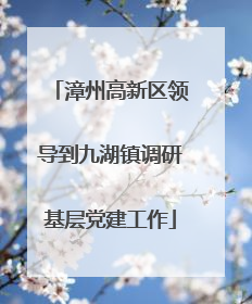 漳州高新区领导到九湖镇调研基层党建工作