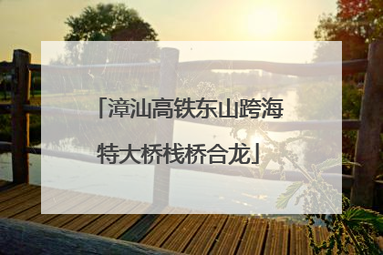 漳汕高铁东山跨海特大桥栈桥合龙