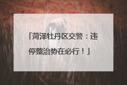 菏泽牡丹区交警：违停整治势在必行！