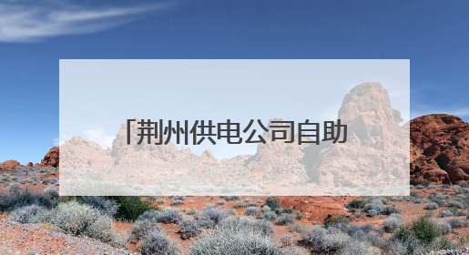 荆州供电公司自助终端进社区 居民家门口就近办电