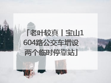 老叶较真丨宝山1604路公交车增设两个临时停靠站