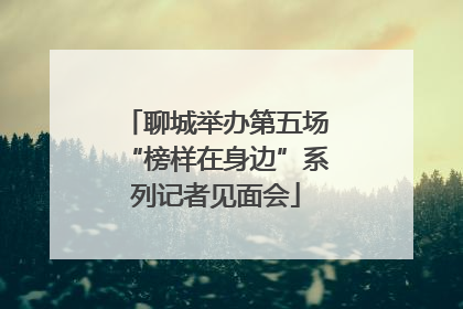 聊城举办第五场“榜样在身边”系列记者见面会