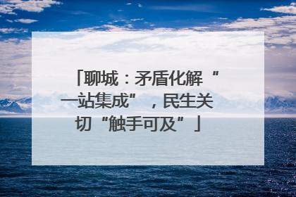 聊城：矛盾化解“一站集成”，民生关切“触手可及”