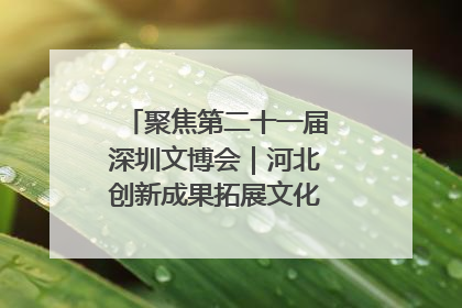 聚焦第二十一届深圳文博会｜河北创新成果拓展文化产业“朋友圈”