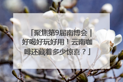 聚焦第9届南博会｜好喝好玩好用！云南咖啡还藏着多少惊喜？