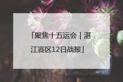 聚焦十五运会｜湛江赛区12日战报