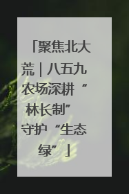 聚焦北大荒｜八五九农场深耕“林长制” 守护“生态绿”