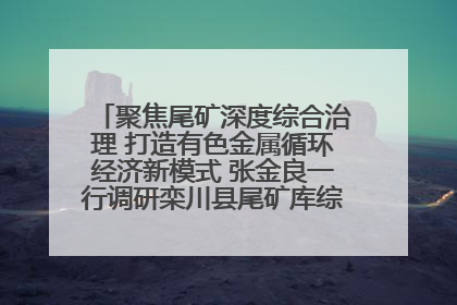 聚焦尾矿深度综合治理 打造有色金属循环经济新模式 张金良一行调研栾川县尾矿库综合治理工作