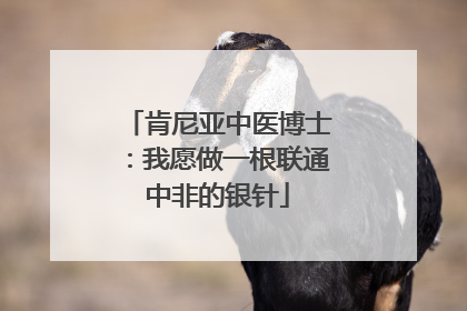 肯尼亚中医博士：我愿做一根联通中非的银针