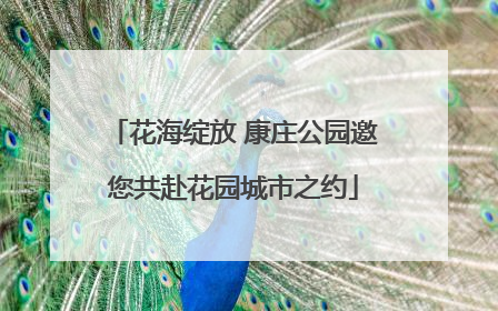花海绽放 康庄公园邀您共赴花园城市之约