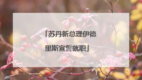 苏丹新总理伊德里斯宣誓就职