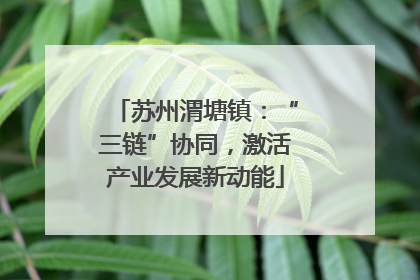 苏州渭塘镇：“三链”协同，激活产业发展新动能