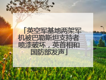 英空军基地两架军机被巴勒斯坦支持者喷漆破坏，英首相和国防部发声
