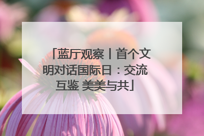 蓝厅观察丨首个文明对话国际日：交流互鉴 美美与共