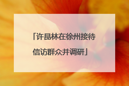 许昆林在徐州接待信访群众并调研