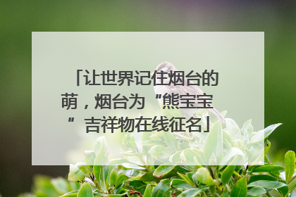 让世界记住烟台的萌，烟台为“熊宝宝”吉祥物在线征名
