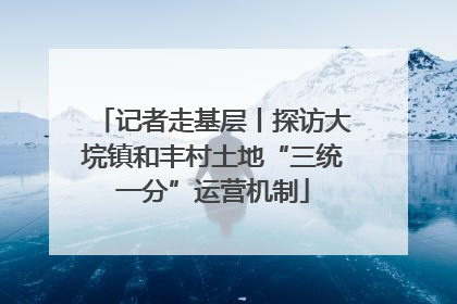 记者走基层丨探访大垸镇和丰村土地“三统一分”运营机制