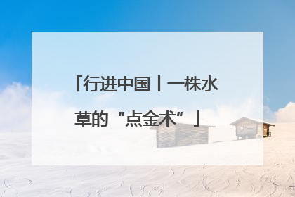 行进中国丨一株水草的“点金术”