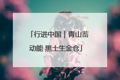 行进中国｜青山蓄动能 黑土生金仓