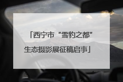西宁市“雪豹之都”生态摄影展征稿启事