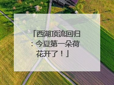 西湖顶流回归：今夏第一朵荷花开了！