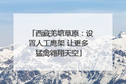 西藏羌塘草原：设置人工鹰架 让更多猛禽翱翔天空