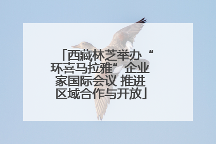 西藏林芝举办“环喜马拉雅”企业家国际会议 推进区域合作与开放