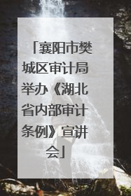 襄阳市樊城区审计局举办《湖北省内部审计条例》宣讲会