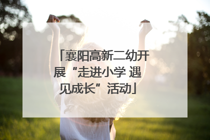 襄阳高新二幼开展“走进小学 遇见成长”活动
