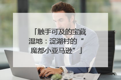 触手可及的宝藏湿地：淀湖村的“魔都小亚马逊”