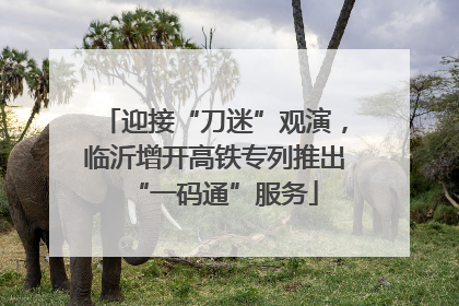 迎接“刀迷”观演，临沂增开高铁专列推出“一码通”服务