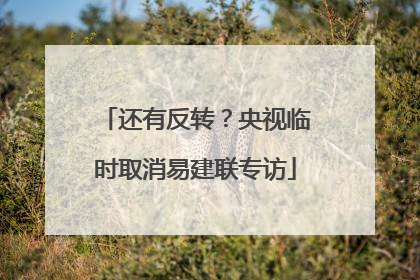 还有反转？央视临时取消易建联专访