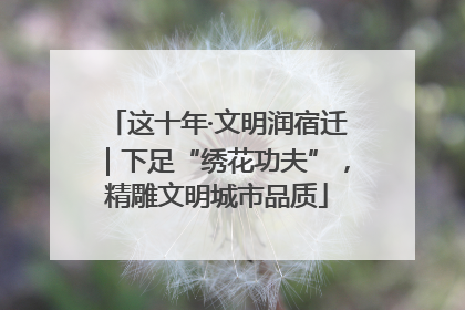 这十年·文明润宿迁｜下足“绣花功夫”，精雕文明城市品质