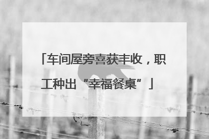 车间屋旁喜获丰收，职工种出“幸福餐桌”