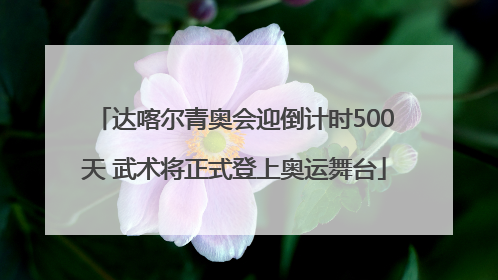 达喀尔青奥会迎倒计时500天 武术将正式登上奥运舞台