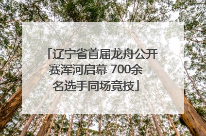 辽宁省首届龙舟公开赛浑河启幕 700余名选手同场竞技