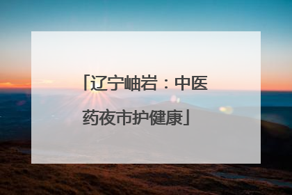 辽宁岫岩：中医药夜市护健康