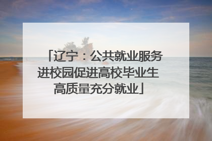 辽宁：公共就业服务进校园促进高校毕业生高质量充分就业