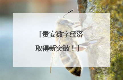 贵安数字经济取得新突破！