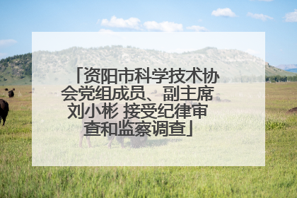 资阳市科学技术协会党组成员、副主席刘小彬 接受纪律审查和监察调查