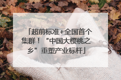 超前标准+全国首个集群！“中国大樱桃之乡”重塑产业标杆